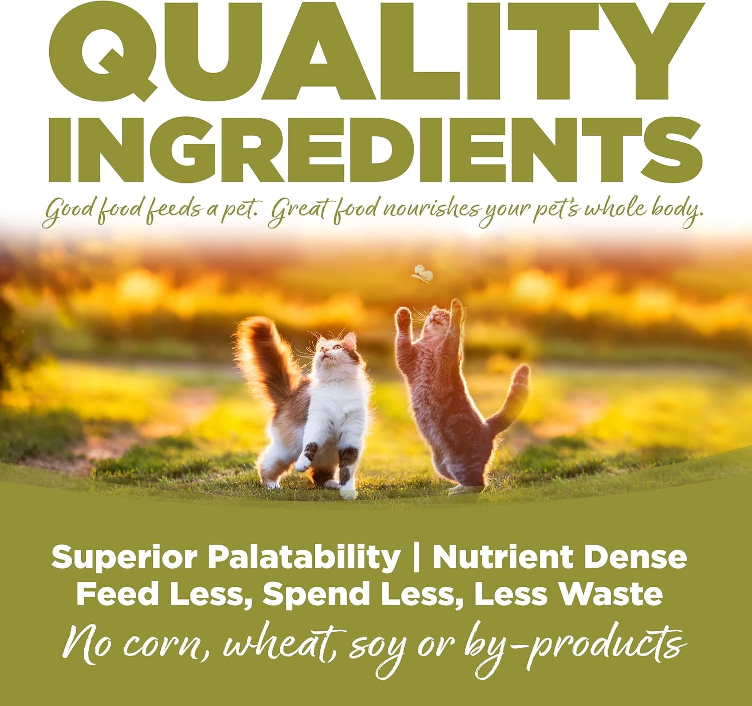 Nutri Source 125105 12 lbs Senior Weight Management Chicken & Peas Cat Food - MP80