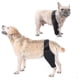 thumbnail image 3 of M Rodillera para perro mascota para artritis por dislocación de la rodilla mantiene la articulación caliente soporte adicional, s Botao, 3 of 3