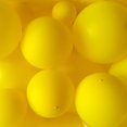 thumbnail image 2 of Globos de látex de 5/10/12/18/36 pulgadas, Vitality Sunshine, amarillo, para actividades y celebraciones, fiesta de cumpleaños, decoración del Día de los niños, 2 of 4