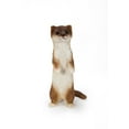 thumbnail image 2 of Hi-Line Gift Ltd. Debout Moins Belette Statue, Brun et Blanc, 2 of 3