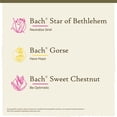 thumbnail image 3 of Kit Hope and Joy de Flower Remedies Bach, 3 goteros de 20 ml, 3 of 6