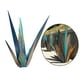 thumbnail image 5 of Decoración Al Escultura de Azul Arte de Hierro Planta Estatua de Jardín, 5 of 9