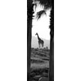 thumbnail image 1 of Boer Giraffe Wall Decal, 1 of 2