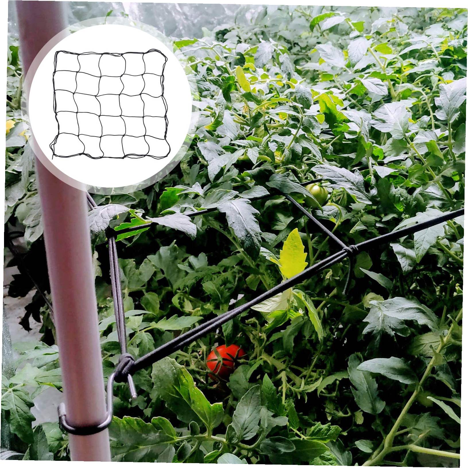 FENGGUIQU Black Plant Grow Netting 1Pc Elastic Trellis Garden Support Net for Outdoor Vegetables and Fruits