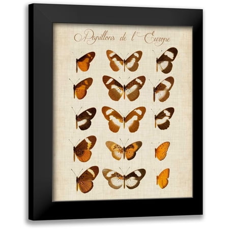 Vision Studio 12x14 Black Modern Framed Museum Art Print Titled - Papillons de LEurope IV