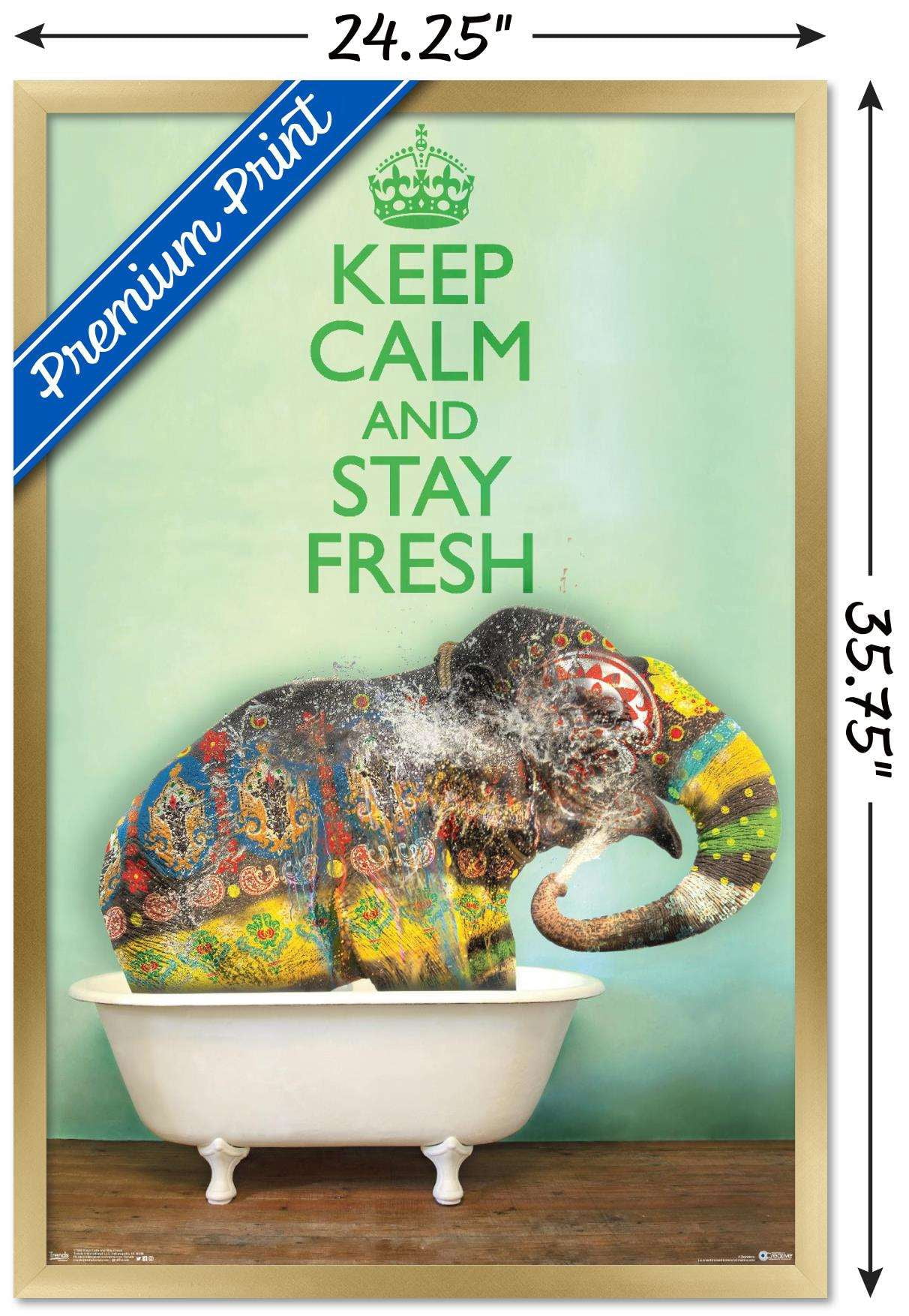 Keep Calm And Stay Fresh Wall Poster, 22.375" x 34", Framed