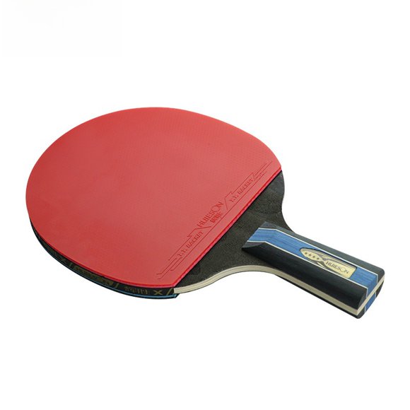 HuiSheng 4-Star Table Tennis Racket for Beginners - Short Handle Shakehand Grip, Double-Sided Rubber, Original Carry Case Included - Durable, Portable Ping Pong Paddle with Balanced Power & Control