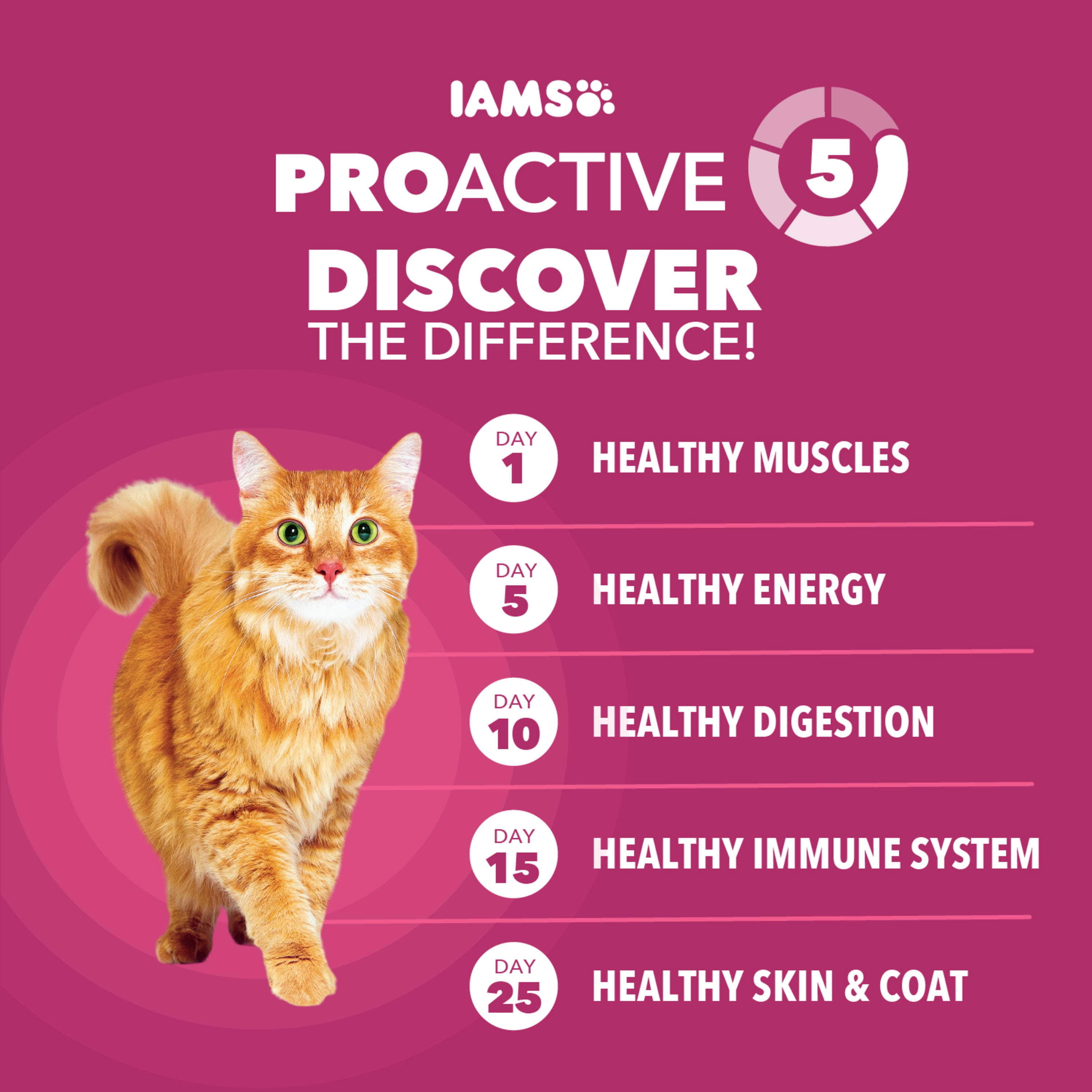 Iams Proactive Health Adult Chicken Dry Cat Food for Urinary Tract Health, 3.5 lb Bag