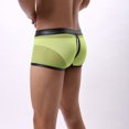 thumbnail image 4 of Clearance Pants for Men Men's Transparent Mesh Underwear Briefs Yellow 10(XL), 4 of 8