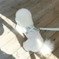 thumbnail image 6 of Lightweight Saddle-Style Pet Harness & Leash Set for Walking Dogs - Chest Belt for Small to Medium-Sized Dogs, 6 of 11