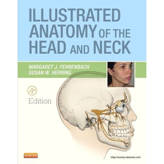 Pre-Owned Illustrated Anatomy of the Head and Neck, 4th Edition (Paperback) 1437724191 9781437724196