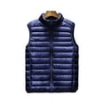 thumbnail image 6 of BAETEUY Men Cotton Vest, Stand Collar, Sleeveless, Zipper, Placket, Lightweight, Quilted, Waistcoat, Solid, Color, Cotton, Vest, Jacket, Pockets, 6 of 7