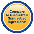 thumbnail image 3 of Equate Coated Nicotine Gum, 4 mg, Coated Cinnamon Flavor, 160 Count, 3 of 10