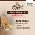 Wellness CORE+ Digestive Health GrainFree Natural Wet Cat Food, Sensitive Stomach, Easily