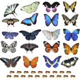 thumbnail image 1 of Ventana con mariposas de doble cara que se adhiere para evitar choques con aves, 1 of 3