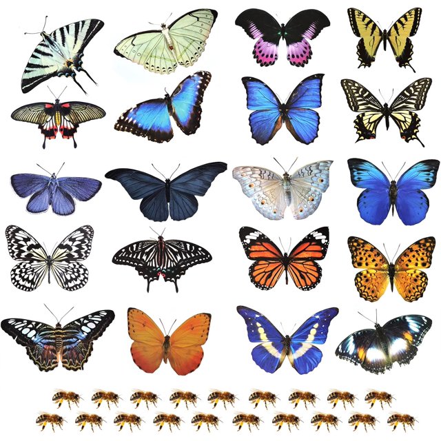 Ventana con mariposas de doble cara que se adhiere para evitar choques con aves