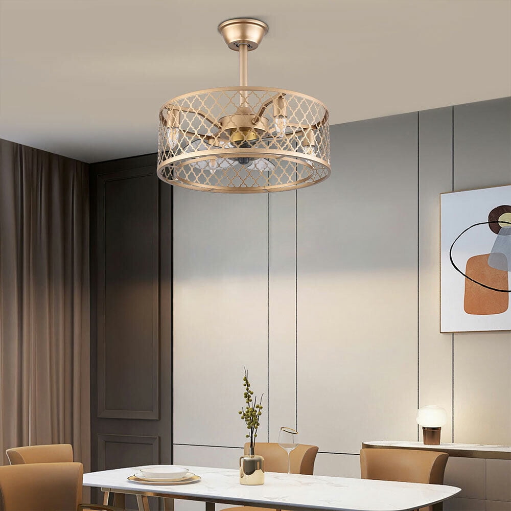 Wuzstar 20" Ceiling Fan with LED Lights Remote Control Industrial Caged