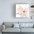thumbnail image 2 of Trademark Fine Art Chris Paschke Blush Clematis I Canvas Wall Art - 14x14, 2 of 5