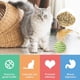 thumbnail image 3 of 6PCS lindo gato juguete pluma sisal bola gatito juguete interactivo juguete interior, 3 of 5