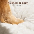 thumbnail image 3 of Dog Bed Medium Size  Flat Pet Beds With Removable Washable Cover Mat Cute Crate Thick Shredded Chopped Foam & Anti Slip Bottom For Indoor, 3 of 9