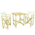 thumbnail image 1 of ZEW SET-007-23 Set Of 1 High Square Table, 2 High Director Chairs - Celadon Stripes, 1 of 1