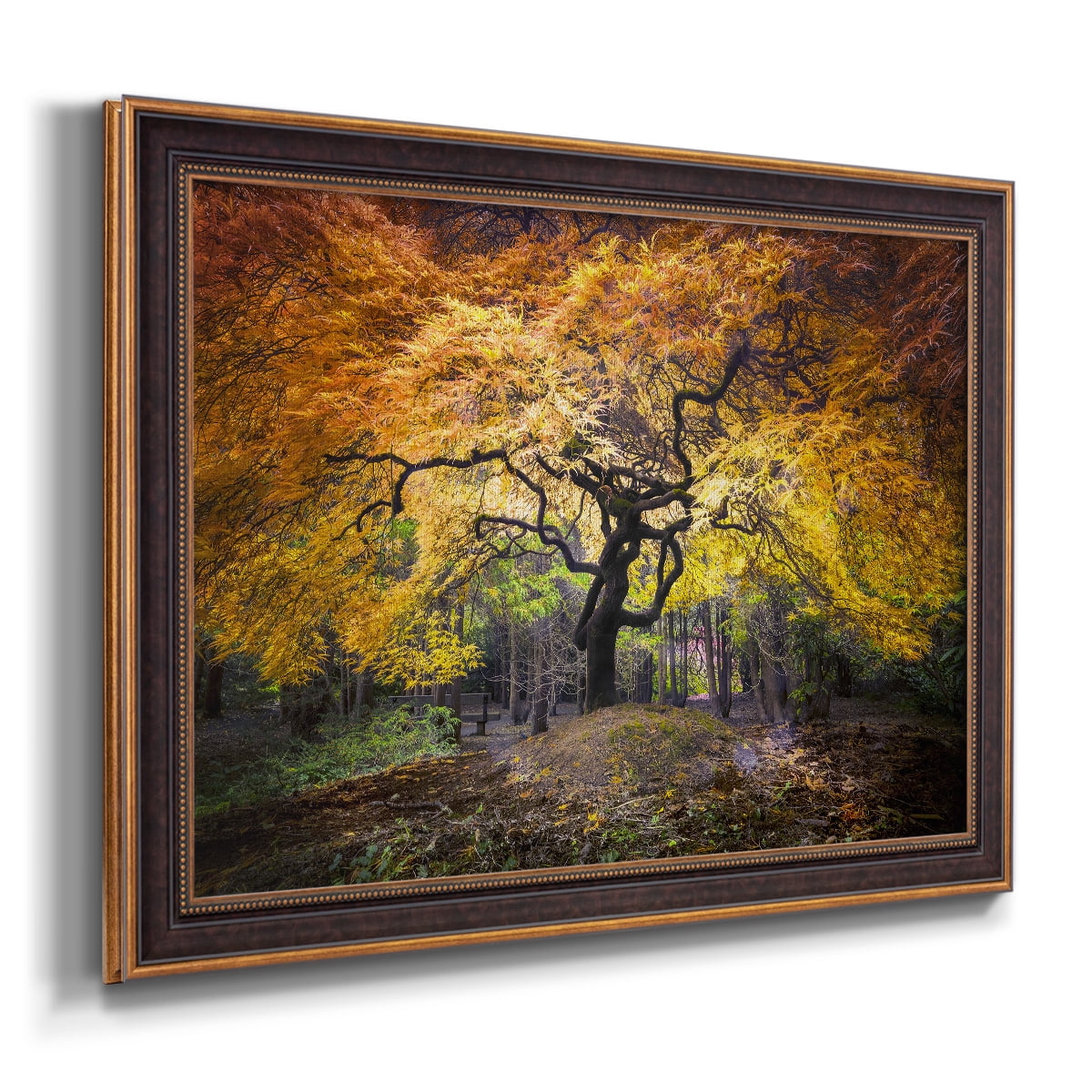 Hidden Jewel Premium Framed Canvas- Ready to Hang