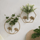 thumbnail image 5 of C Flores Jarrones colgantes Maceta de pared Maceta Maceta Balcón Decoración del hogar Florero de pared Florero hidropónico Colgante de pared, 5 of 6