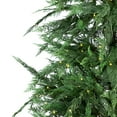 thumbnail image 4 of Northlight Pre-Lit Medium Weeping Cedar IPT Artificial Christmas Tree - 6.5' - Dual Color LED Lights, 4 of 9