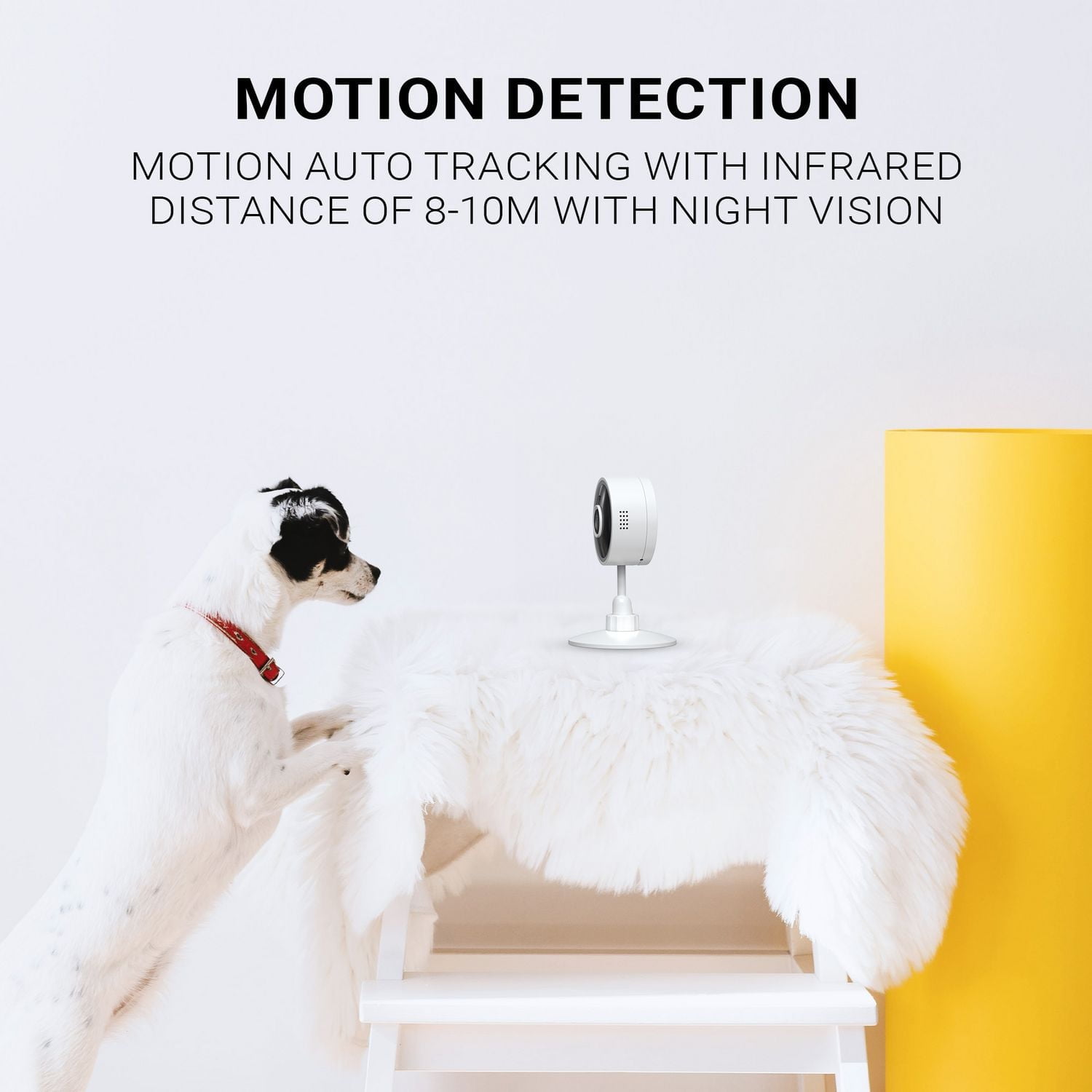 Instachew Purrsight Mini caméra HD Wi-Fi pour animaux de compagnie, blanc