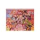 thumbnail image 5 of Genuine Original PTCG Card Simplified Chinese 7.0 Brave and Charming Stars Pearl Shell &Gangshi Suit Gift Box Card Cover, 5 of 5
