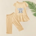 thumbnail image 4 of Zwiiyzr 1-10 Years Little & Big Girl Summer Outfits Cartoon Ruffle Short Sleeved Flutter Sleeve Elastic Waist Cropped Pants Daisy 2Pcs Clothing Set Khaki, 4 of 5