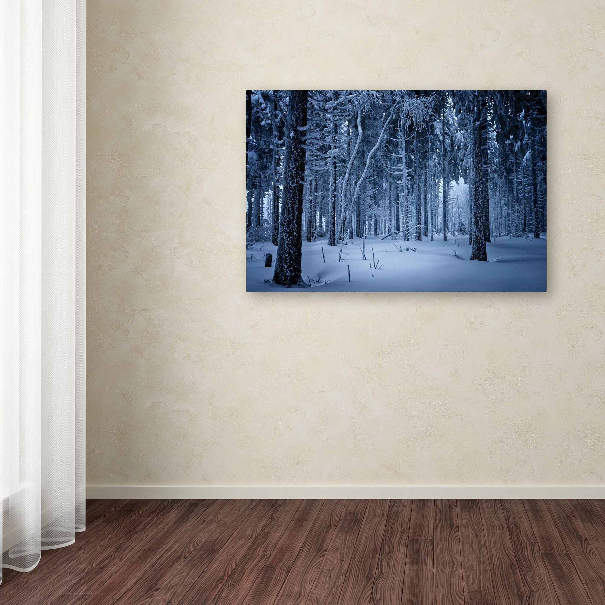 Trademark Fine Art 'Blue Frost' Canvas Art by Philippe Sainte-Laudy