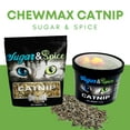 .75 oz Catnip Container - Walmart.com