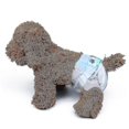 thumbnail image 1 of 10 Pcs de Couches pour Chien Jetables Enveloppées en Papier pour Menstruations, 1 of 3