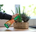 thumbnail image 3 of Miracle-Gro Succulent Plant Food 236mL, 3 of 5