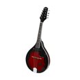 thumbnail image 2 of TISHITA Mandolin Instrument Educational Gifts Classical for Boys Girls Kids Children Only Mandolin, 2 of 8