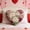 I, variant on Upgraded Heart Shaped Floral Throw Pillows Romantic Home Decor With Soft Fabric Multiple Patterns Colors For Couch Bed Or Valentine's Day Gifts F