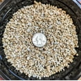 thumbnail image 2 of VERMICULITE - COARSE VERMICULITE - MEDIUM SIZE AGRICULTURAL GRADE (2-Liters / .5 Gallon), 2 of 2