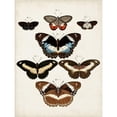 thumbnail image 3 of Vision Studio 19x24 Black Modern Framed Museum Art Print Titled - Vintage Butterflies II, 3 of 5