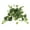 Golden Pothos, variant on PARMPH Artificial Desk Plants with Imitation Ceramic Pot, Realistic Faux Pilea Notata Potted Plants Greenery for Home Office Shelf Indoor Outdoor Decor (1 Pack)