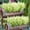 White, variant on Artificial Flowers Violet 12 Bundles UV Resistant Outdoor Fake Plastic Faux Greenery Plants for Spring Decoration Window Box Wedding Home Garden Porch Decoration Purple Violet