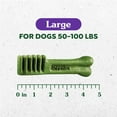 thumbnail image 5 of Greenies Original Large Natural Dog Dental Care Chews Oral Health Dog Treats, 12 Oz Pack (48 Treats), 5 of 7