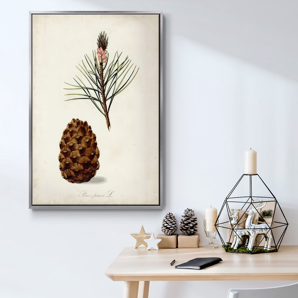 Antique Tree Study V - Framed Gallery Wrapped Holiday Canvas - 25 x 37 - Silver Frame