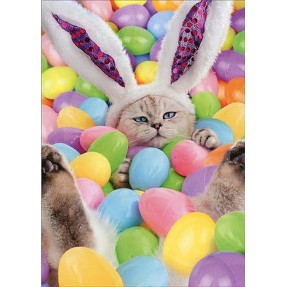 Avanti Press Bunny Cat in Pool of Easter Eggs Humorous : Funny Easter Card