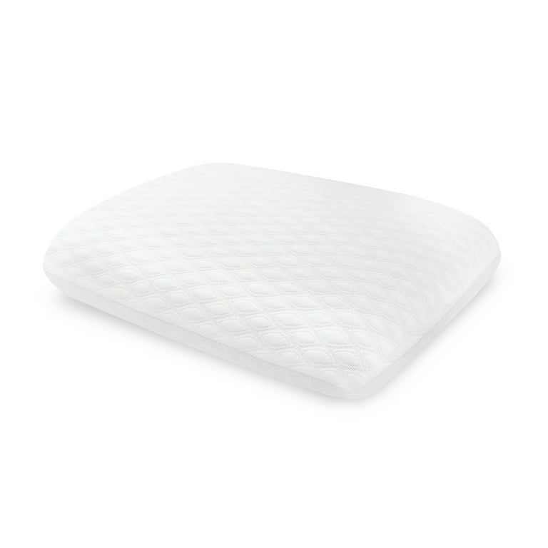 EcoPEDIC Latex Foam Traditional Bed Pillow