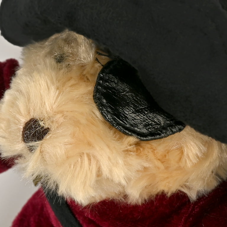 Pirate Teddy Bear Stuffed Animal Plush, 10 inches