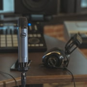 Blue Ember Wired Condenser Microphone
