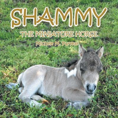 Shammy : The Miniture Horse