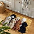 thumbnail image 4 of SASHENHG Printed Crystal Velvet Floor Mat For Home Use Nonslip And Better To Clean Foot Mat For Bathroom, 4 of 6