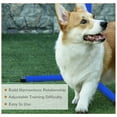 thumbnail image 6 of PawHut 4 Piece Dog Agility Training Equipment for Dog Agility Course with Adjustable Height Jump Bars, Included Carry Bag, & Displacing Top Bar, Blue, 6 of 9